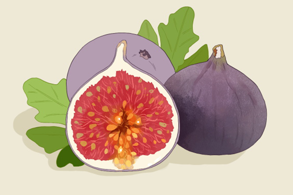 肺热吃什么好 肺热适合吃的食物